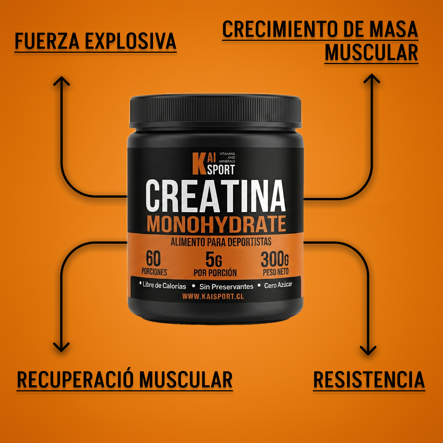 CREATINA MONOHIDRATADA + PDF GRATIS de beneficios y modos de uso